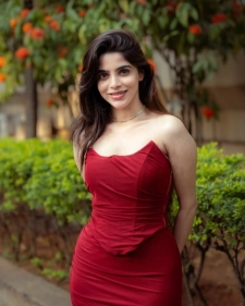 Bangalore Escort Services